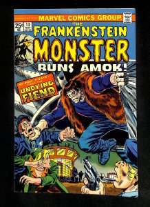 Frankenstein #13