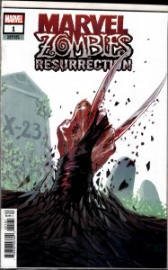 Marvel Zombies: Resurrection #1 Hans Cover (2020) Spider-Man