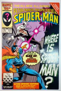 The Spectacular Spider-Man #117 (8.0, 1986)