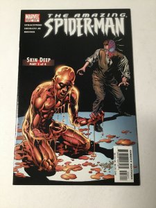 Amazing Spider-man 516 Nm Near Mint Marvel