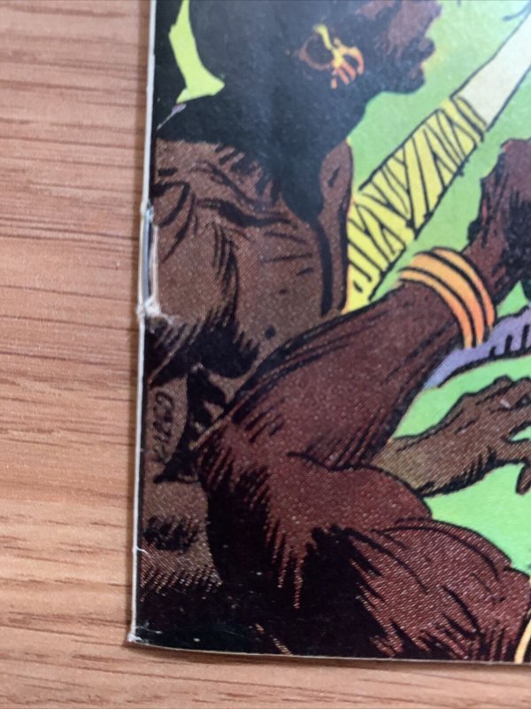 Rima The Jungle Girl #3 1974 DC Bronze Age 