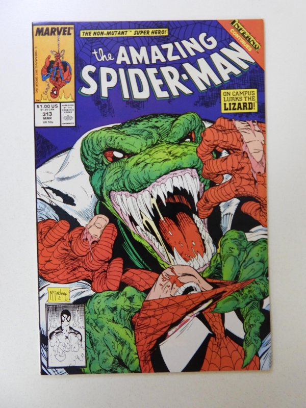 The Amazing Spider-Man #313 (1989) NM- condition