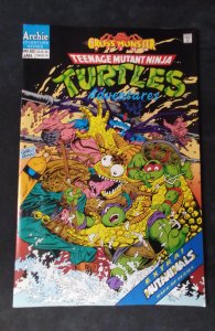 Teenage Mutant Ninja Turtles Adventures #52 (1994)
