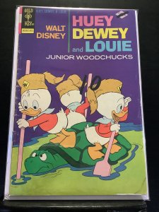 Huey, Dewey and Louie Junior Woodchucks #31 (1975)