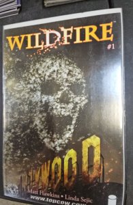 Wildfire Cover B (2014)