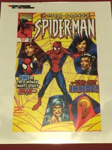 PETER PARKER SPIDER-MAN 5 COVER Mary Jane Spider Woman Black Cat Bart Sears 1999