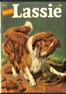 Lassie #5 