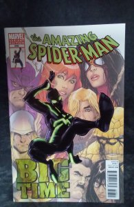 The Amazing Spider-Man #648 Caselli Cover (2011)