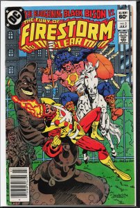 The Fury of Firestorm #2 (1982) Firestorm