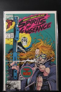 Ghost Rider/Blaze: Spirits of Vengeance #2 Direct Edition (1992)