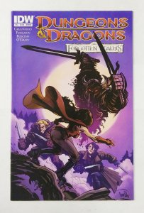 DUNGEONS & DRAGONS: FORGOTTEN REALMS #05 (2012) STEVE ELLIS | CVR B