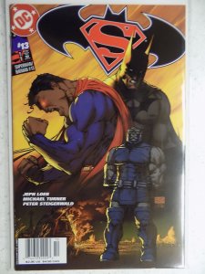 Superman & Batman #13 (2005)