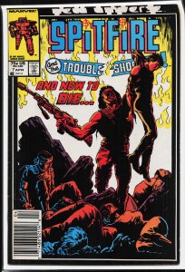 Spitfire and the Troubleshooters #7 (1987) Steel Hawk