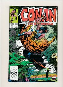 Marvel Comics Lot of 4-CONAN THE BARBARIAN #212-215 FINE/VERY FINE (PF915)