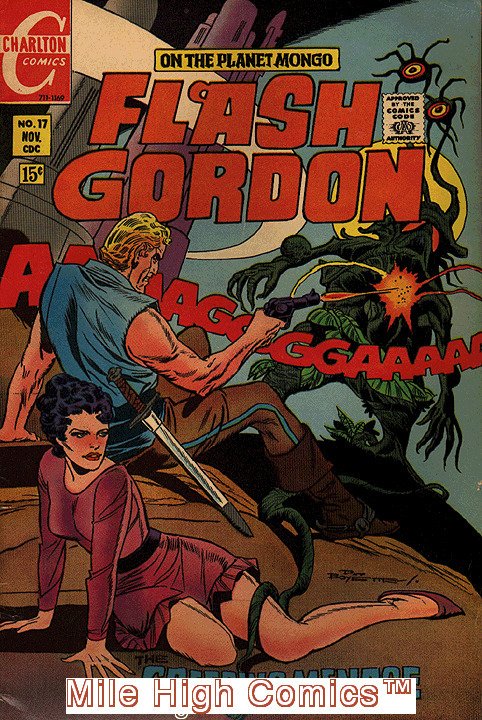 FLASH GORDON (1969 Series)  (CHARLTON) #17 Very Good Comics Book