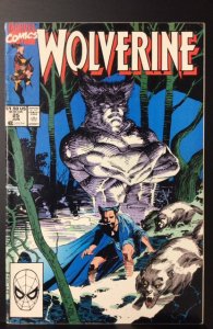 Wolverine #25 (1990)