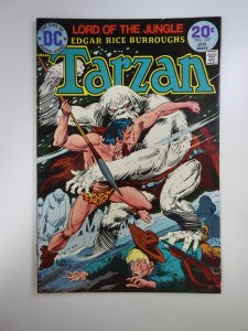Tarzan #227 (1974)