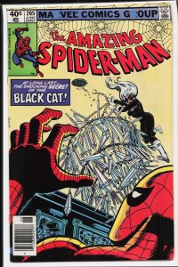 The Amazing Spider-Man #205 (1980) Spider-Man