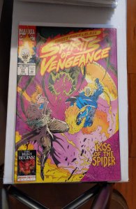 Ghost Rider/Blaze: Spirits of Vengeance #11 (1993)