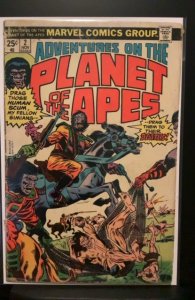 Adventures on the Planet of the Apes #2 (1975)