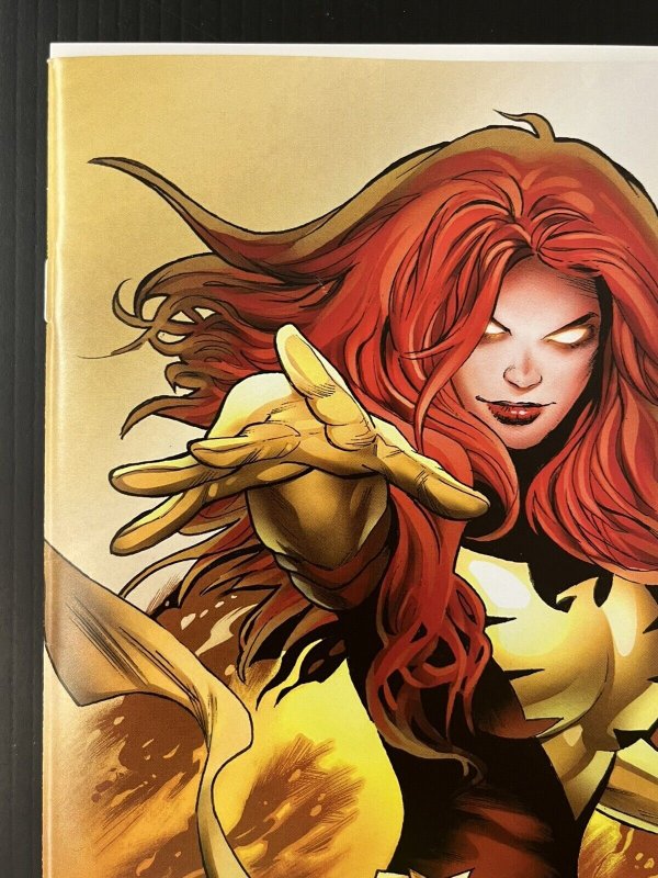 PHOENIX #1 CVR A + 1:25 GREG LAND VAR SET OF 2 X-Men 2024 IN-HAND PROSHIPPER