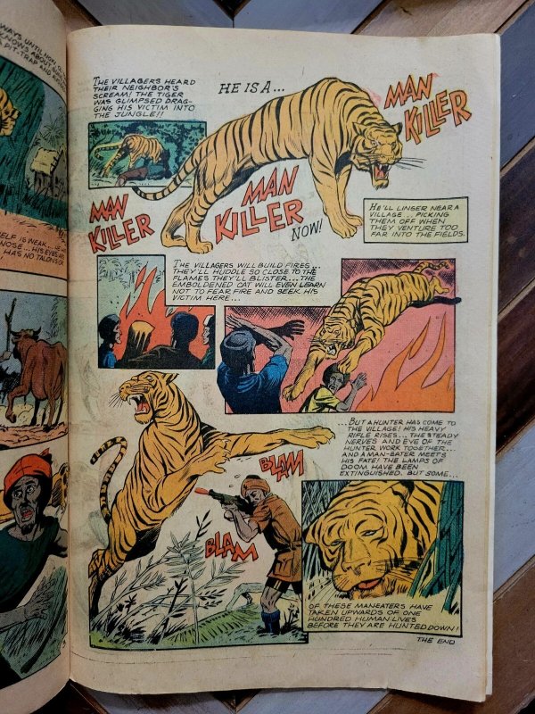 Jungle Jim #25 VG 4.0 (Charlton 1969) Last 12-cent Issue / Pat Boyette Cover