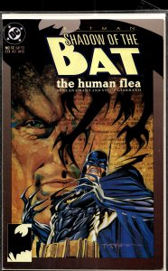 Batman: Shadow of the Bat #12 (1993) Batman