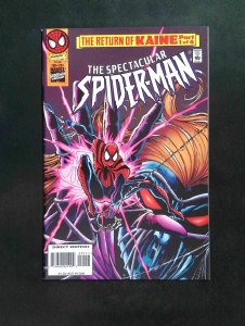 Spectacular Spider-Man #231  Marvel Comics 1996 NM-