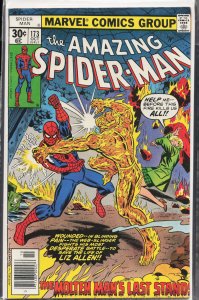 The Amazing Spider-Man #173 (1977) Spider-Man