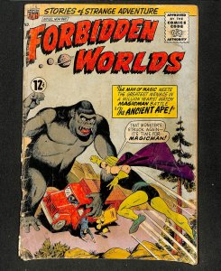 Forbidden Worlds #132