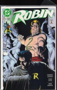 Robin #5 (1991)