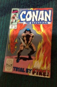 Conan the Barbarian #230 (1990) Trial By Fire! NM- High-Grade Wow!