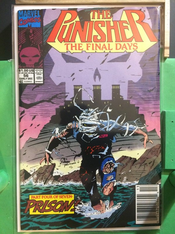 The Punisher #56 The Final Days