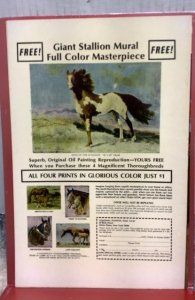 Jungle Jim #28 (1970)