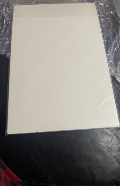 The Spectacular Spider-Man #137 (1988)