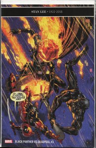 Black Panther vs. Deadpool #3 (2019)