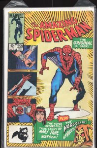 The Amazing Spider-Man #259 (1984) Spider-Man
