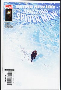 The Amazing Spider-Man #556 (2008)