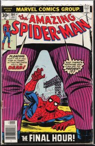 The Amazing Spider-Man #164 (1977) Spider-Man