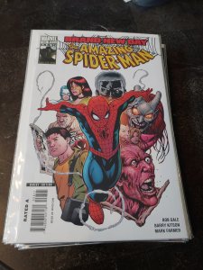 The Amazing Spider-Man #558 (2008)