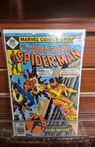 The Amazing Spider-Man #172 (1977)