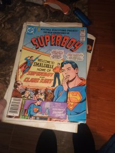 The New Adventures of Superboy #12 Newsstand Edition (1980)