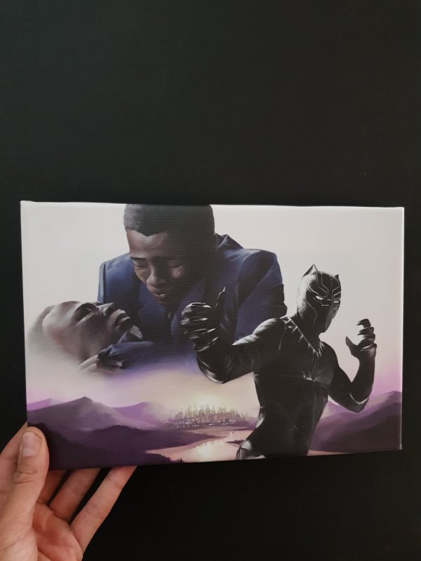 Canvas print: Black Panther, T'challa