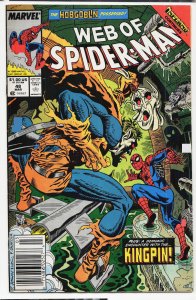 Web of Spider-Man #48 (1989) Spider-Man
