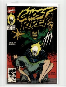 Ghost Rider #7 (1990) Ghost Rider