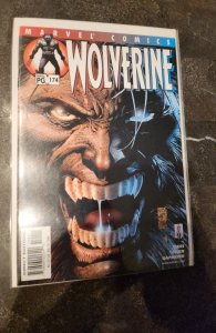 Wolverine 174