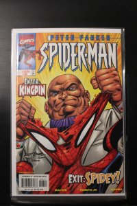 Peter Parker: Spider-Man #6 (1999)