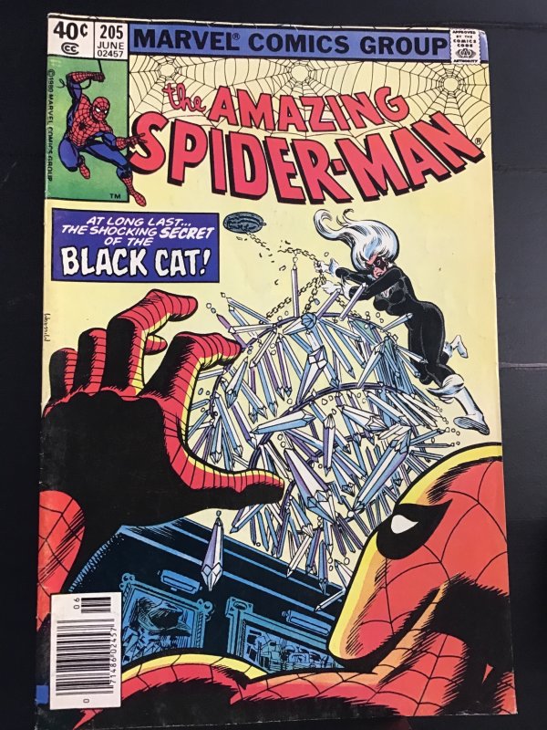 The Amazing Spider-Man #205 Newsstand Edition (1980)