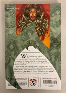 Witchblade Origins Vol. 1 Genesis (Top Cow 2010) Paperback David Wohl 