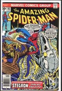 The Amazing Spider-Man #165 (1977) Spider-Man